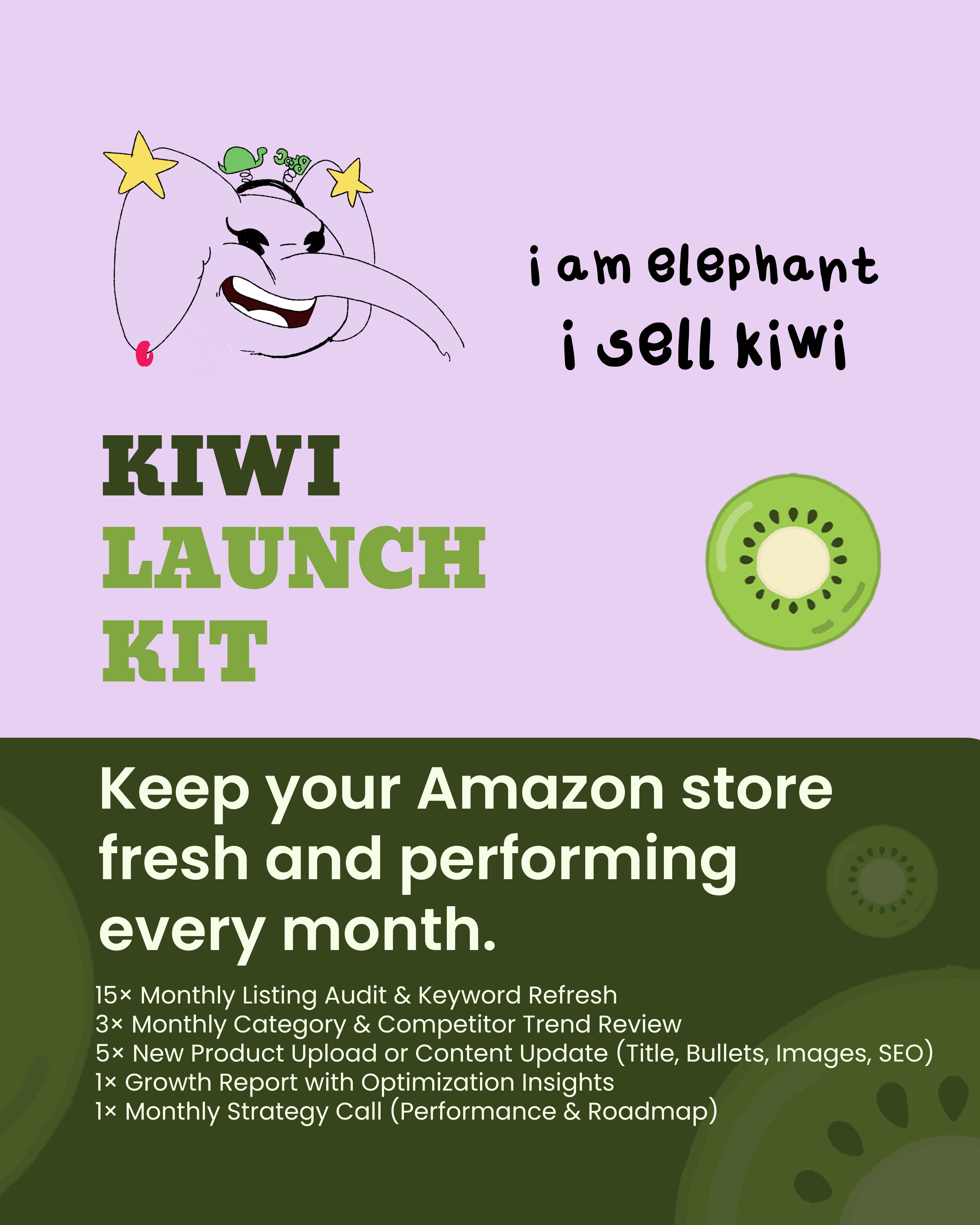 Amazon Account Management (Monthy)